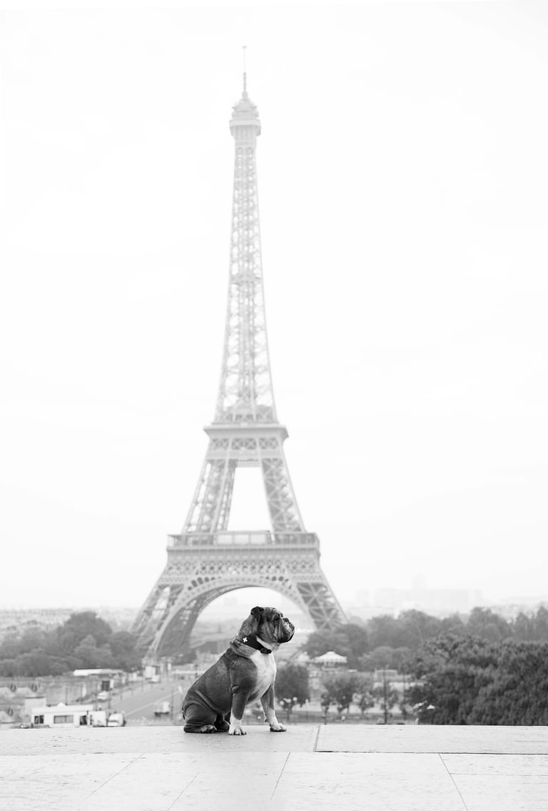 Elliot Bantman Photographe de Mariage à Paris, en France et à paris. Photographe de Mariage à Paris
